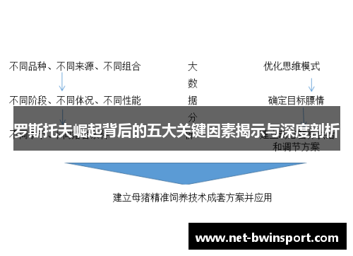 罗斯托夫崛起背后的五大关键因素揭示与深度剖析
