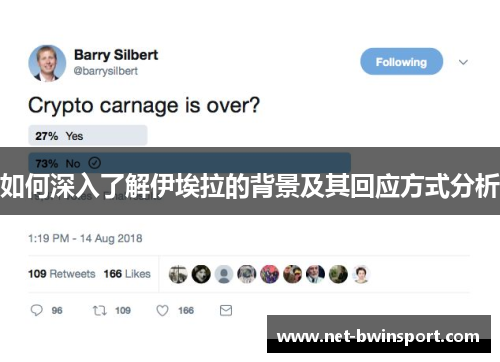 如何深入了解伊埃拉的背景及其回应方式分析