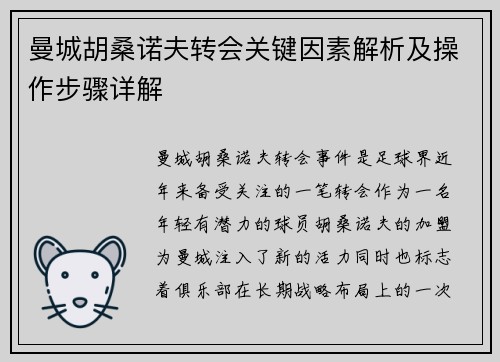 曼城胡桑诺夫转会关键因素解析及操作步骤详解
