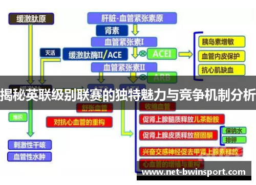 揭秘英联级别联赛的独特魅力与竞争机制分析
