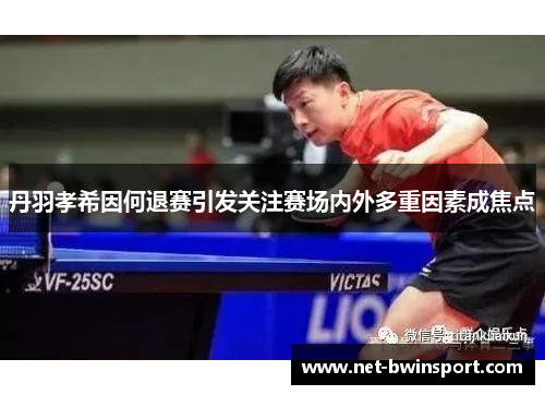 丹羽孝希因何退赛引发关注赛场内外多重因素成焦点